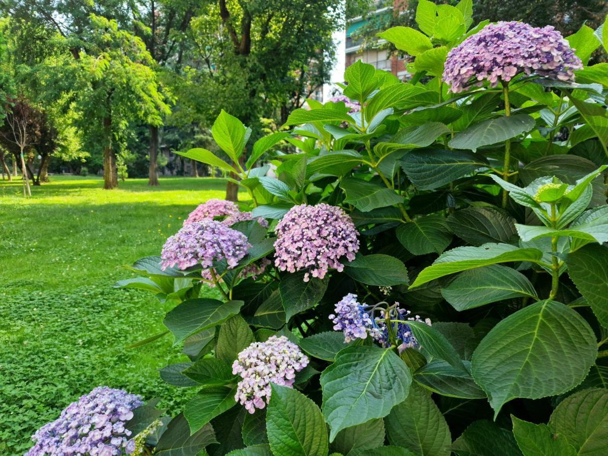 Giardino Sul Naviglio Apartment Milano Ngoại thất bức ảnh